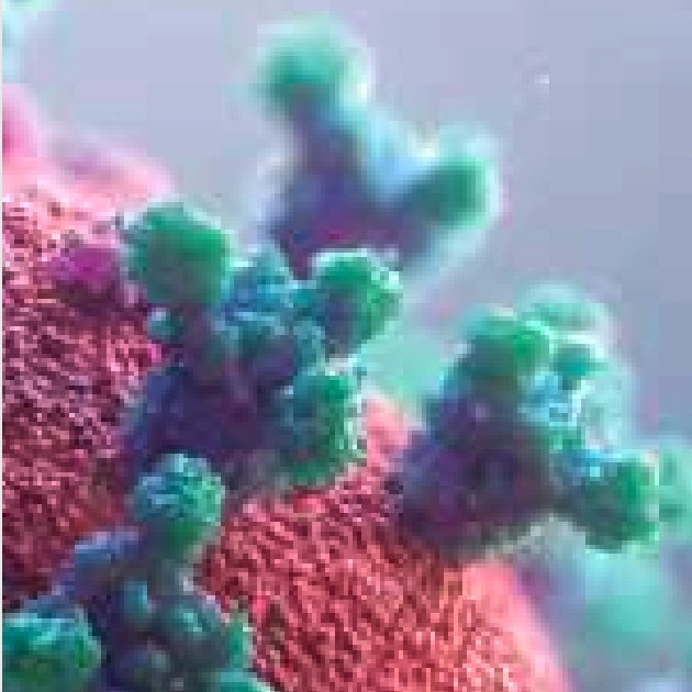 Global application scenarios of COVID-19 Rapid Antigen Test